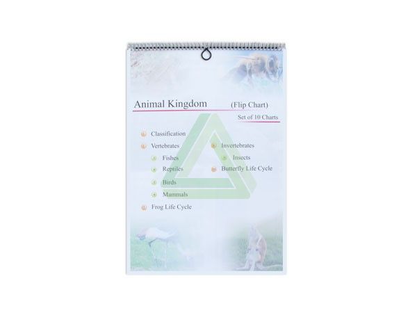 Lasec Education | Animal Kingdom Flip Chart (Set of 10) Lasec Education |