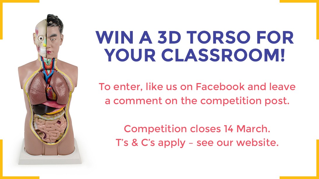 Win a 3D Torso Model for your Classroom!