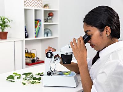 A Quick Guide to Choosing a Microscope